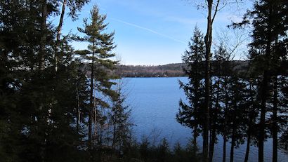 Lake viewed through trees