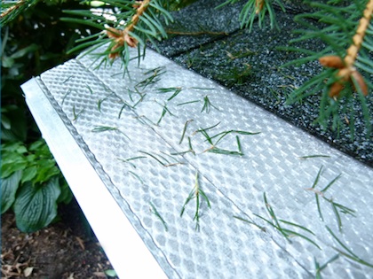 gutter guard with pine needles