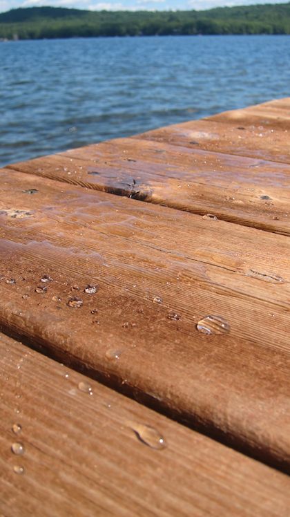 wood dock next to lake