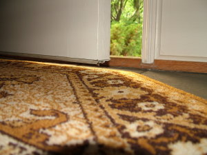 Look at the daylight under the door. There is about 3/4 inch clearance between the bottom weatherstripping and the oriental throw rug. PHOTO BY: Tim Carter