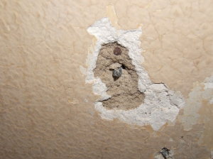 Patching Plaster Walls