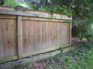 This privacy fence does not extend the entire property line. It is just a 25-foot-long barrier that creates a cocoon of solitude for my neighbor's patio and screened porch. PHOTO CREDIT: Tim Carter