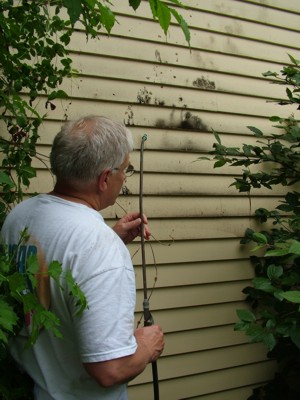 The exterior of a house needs to be cleaned just like the inside. Clean it instead of repainting! PHOTO CREDIT: Kathy Carter