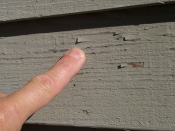 You can clearly see the low-quality paint - sold as stain - peeling. It never penetrated into the pores of the wood siding. PHOTO CREDIT: Tim Carter
