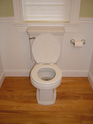 This toilet looks pretty benign, but it has quite a few parts that make it work reliably. PHOTO CREDIT: Tim Carter