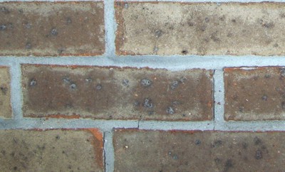 Note the small vertical crack next to the center brick. PHOTO CREDIT: Roger Henthorn