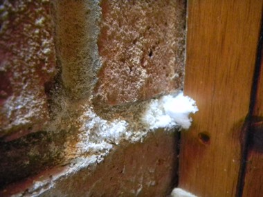 Efflorescence growing in the mortar of a brick fireplace. PHOTO CREDIT: Michael Hannum